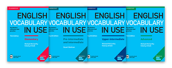 Vocabulary in Use（イギリス英語）
